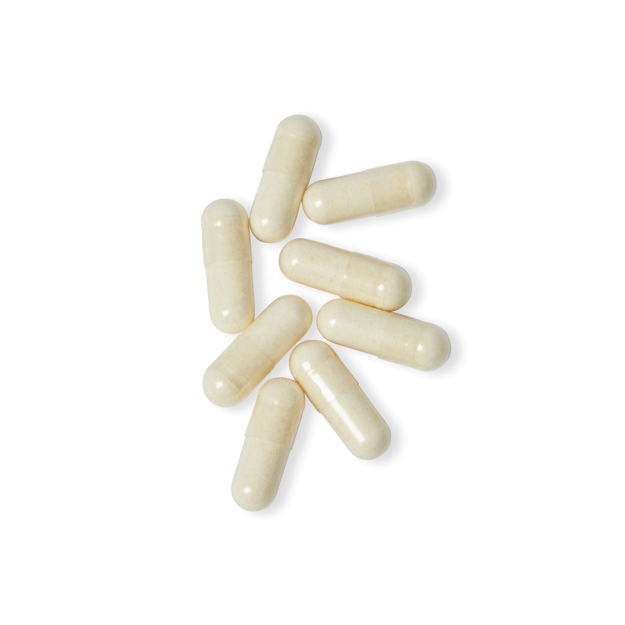 Primalon Probiotics Supplement 60 Capsules | 40 Billion CFU MAKTREK® | Gut Health, Immunity & Athletic Recovery