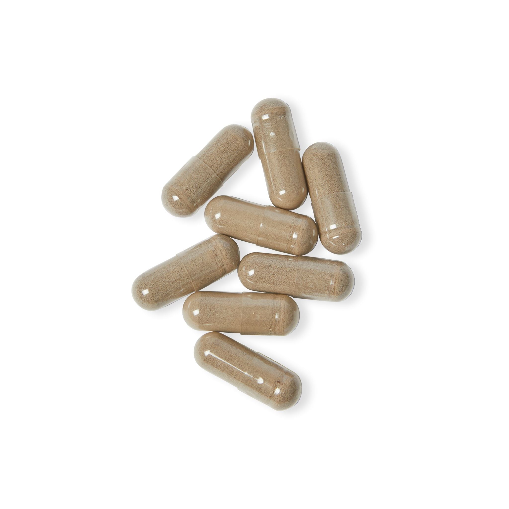 Primalon Sea Moss Supplement 60 Capsules | 92 Minerals Irish Moss Bladderwrack Burdock BioPerine® | Vegan Non-GMO